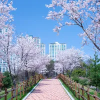 「目に異物が入ったときの応急処置は?」春のお出かけで起こりうる状況別の応急処置法