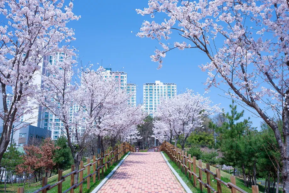「目に異物が入ったときの応急処置は?」春のお出かけで起こりうる状況別の応急処置法