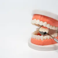歯茎が腫れ出血が伴う歯周炎、歯周炎の原因や治療法まとめ