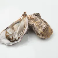 「ノロウイルス」の症状や原因、感染、予防法について