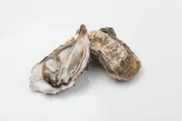 「ノロウイルス」の症状や原因、感染、予防法について