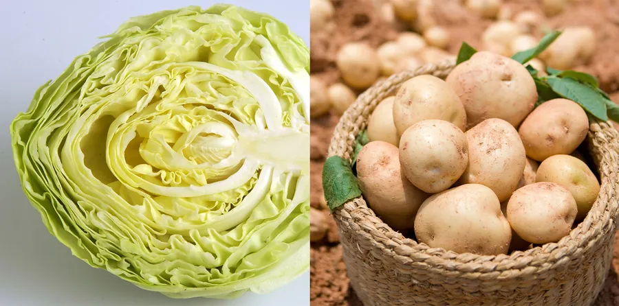 胃潰瘍に良い食べ物