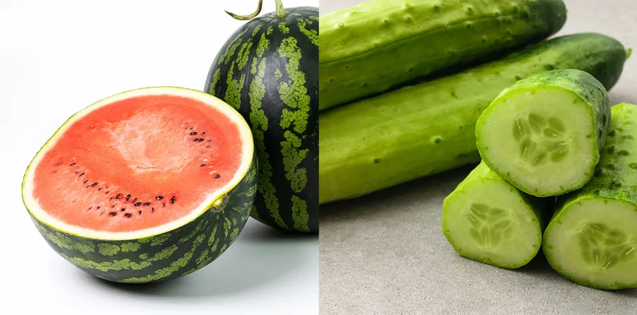 熱中症に効く食べ物