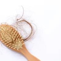 秋冬に特に脱毛がひどくなる理由