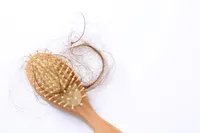 秋冬に特に脱毛がひどくなる理由