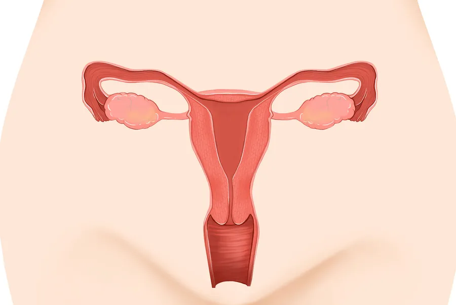 カンジダ膣炎の症状