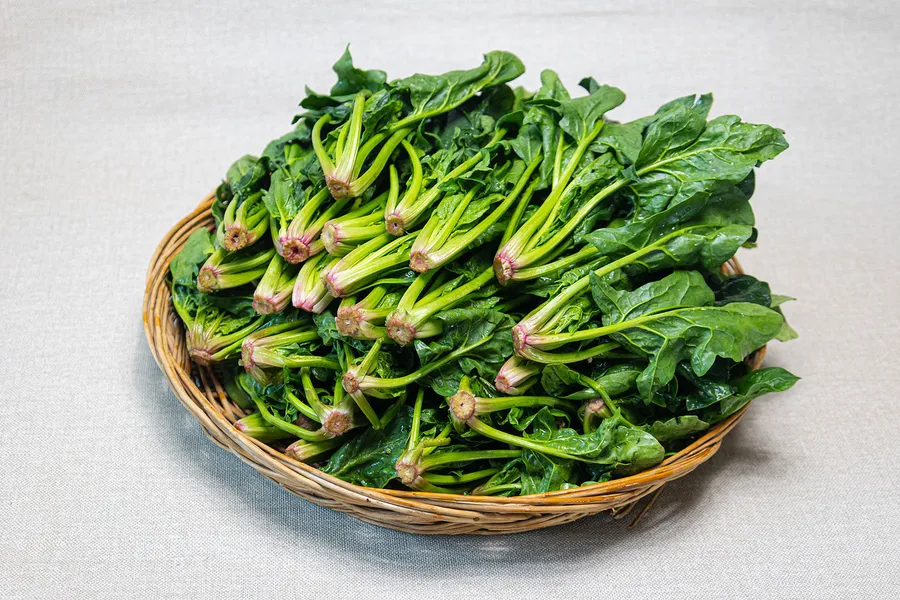 貧血に良い食品