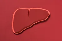 「C型肝炎も感染しますか?」C型肝炎の原因から症状、治療薬、予防法について