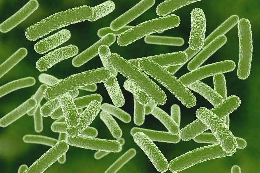 ハンセン病の原因