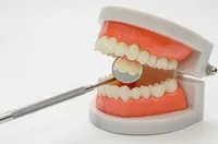 「歯石はなぜできるのでしょうか?」歯石の除去方法や原因、予防法、よくある質問まとめ