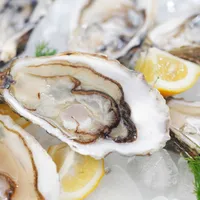 魚介類を食べて感染する「腸炎ビブリオ」の初期症状、原因、治療、予防法について