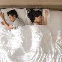 勃起不全の原因は何ですか? 勃起不全の原因、症状、治療法について