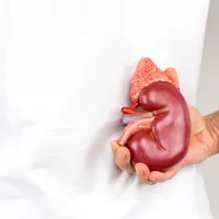 朝になると目が腫れる『糸球体腎炎』の初期症状、治療、原因