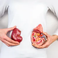 腎臓に良い食べ物6選