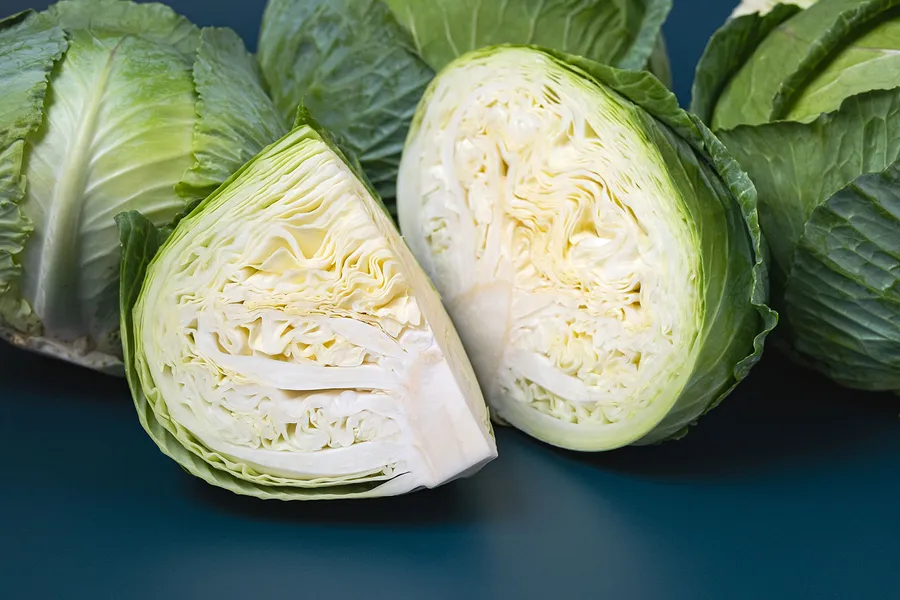 腎臓に良い食べ物