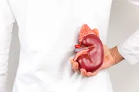 早期発見が難しい『腎臓がん』の初期症状、原因、手術について