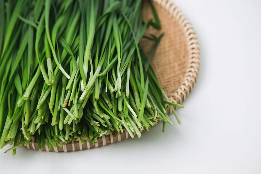 妊娠初期に良い食べ物