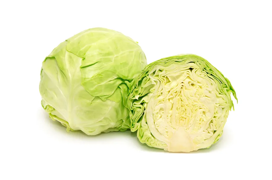 胃に良い食べ物