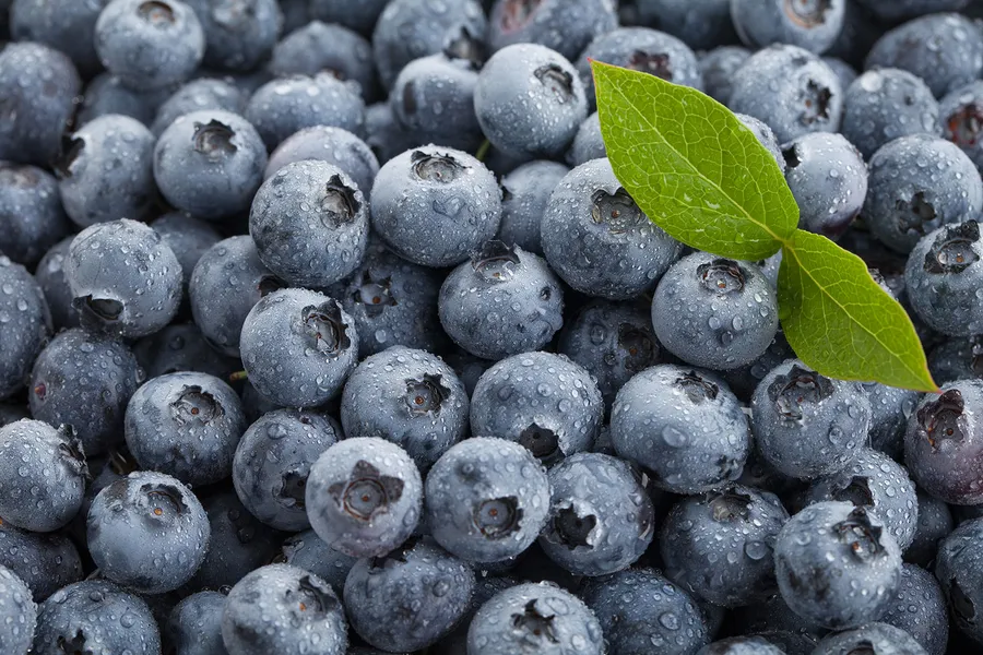目に良い食べ物