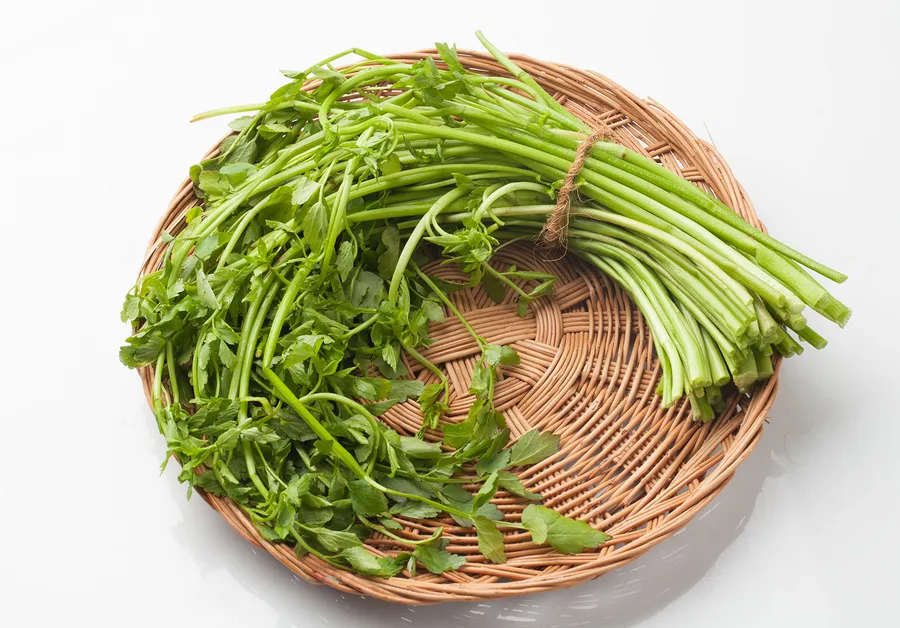 鼻炎に良い食品