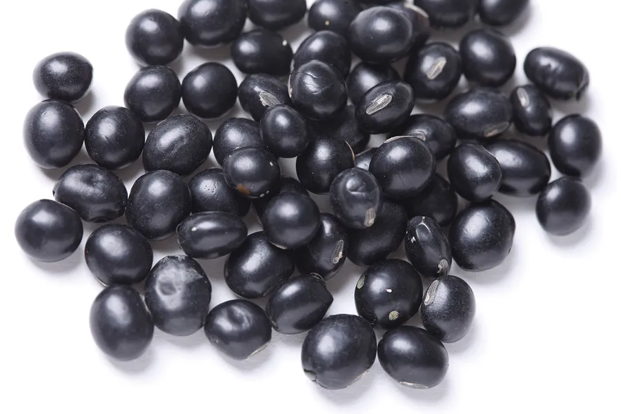 鼻炎に良い食品