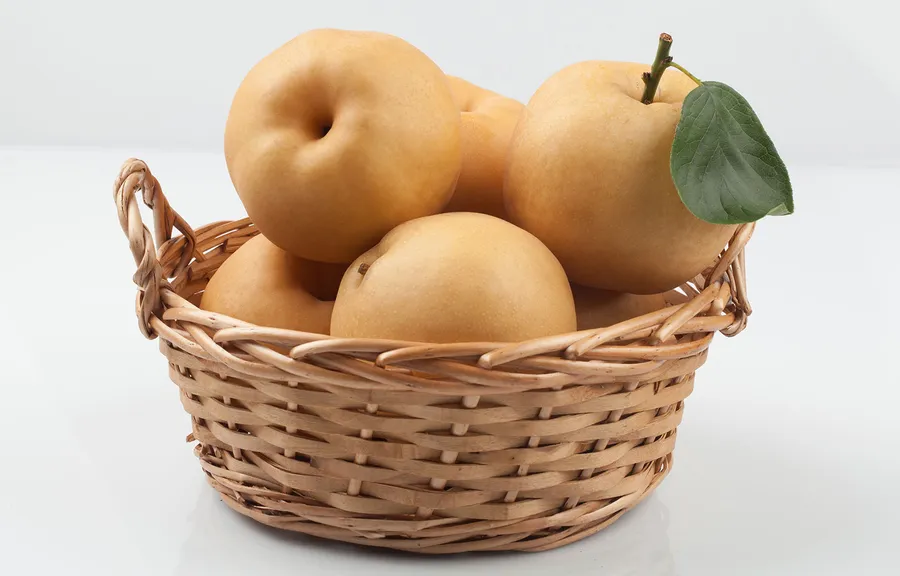 鼻炎に良い食品