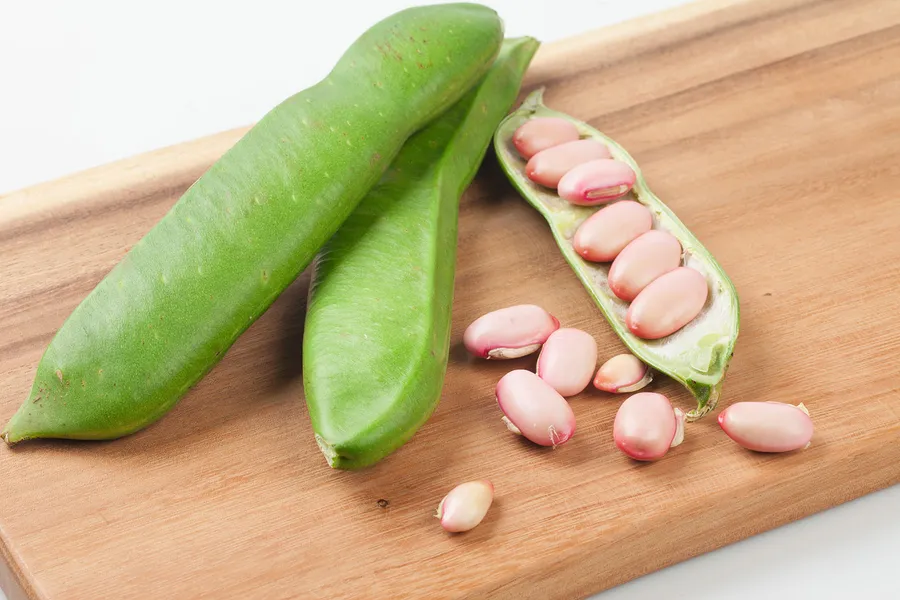 鼻炎に良い食品