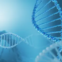 『クラインフェルター症候群、原因は?』クラインフェルター症候群の症状、原因、治療法