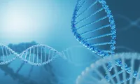 『クラインフェルター症候群、原因は?』クラインフェルター症候群の症状、原因、治療法