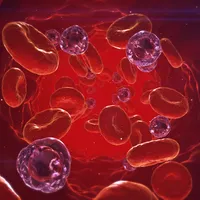 血液循環に良い食べ物5選VS悪いたべもの