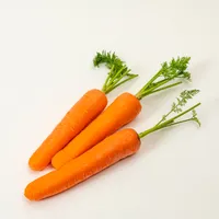 「緑黄色野菜の王様」ともいわれるニンジンの効能についてまとめました