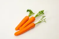 「緑黄色野菜の王様」ともいわれるニンジンの効能についてまとめました