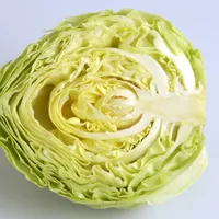 「キャベツは万能の薬」キャベツの効能5つ紹介