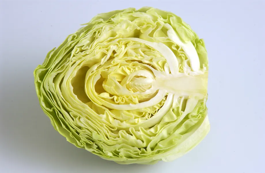 「キャベツは万能の薬」キャベツの効能5つ紹介